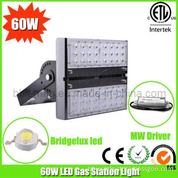 60W Retrofit Modular LED Gas Station Light